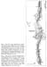 Fig 07